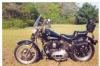 1975 sportster