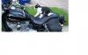 BikeTalk image
